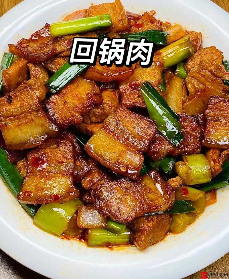 五花肉、肘子肉、回锅肉、红烧肉等各种美味肥肉合集：感受肥而不腻的独特口感